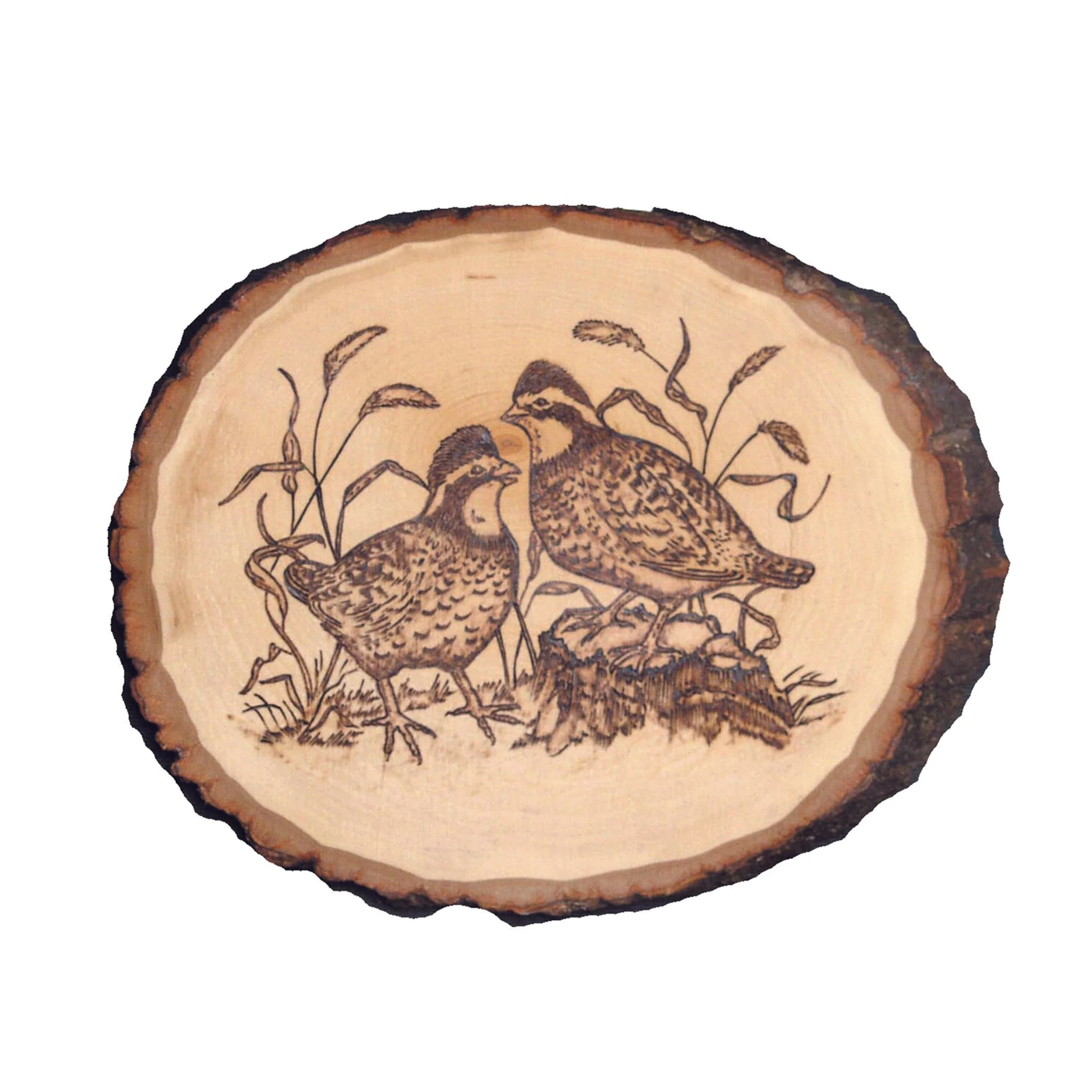 Basswood Country Rounds for Wood Burning, Hot Stamping & Carving - Medium - Image 2