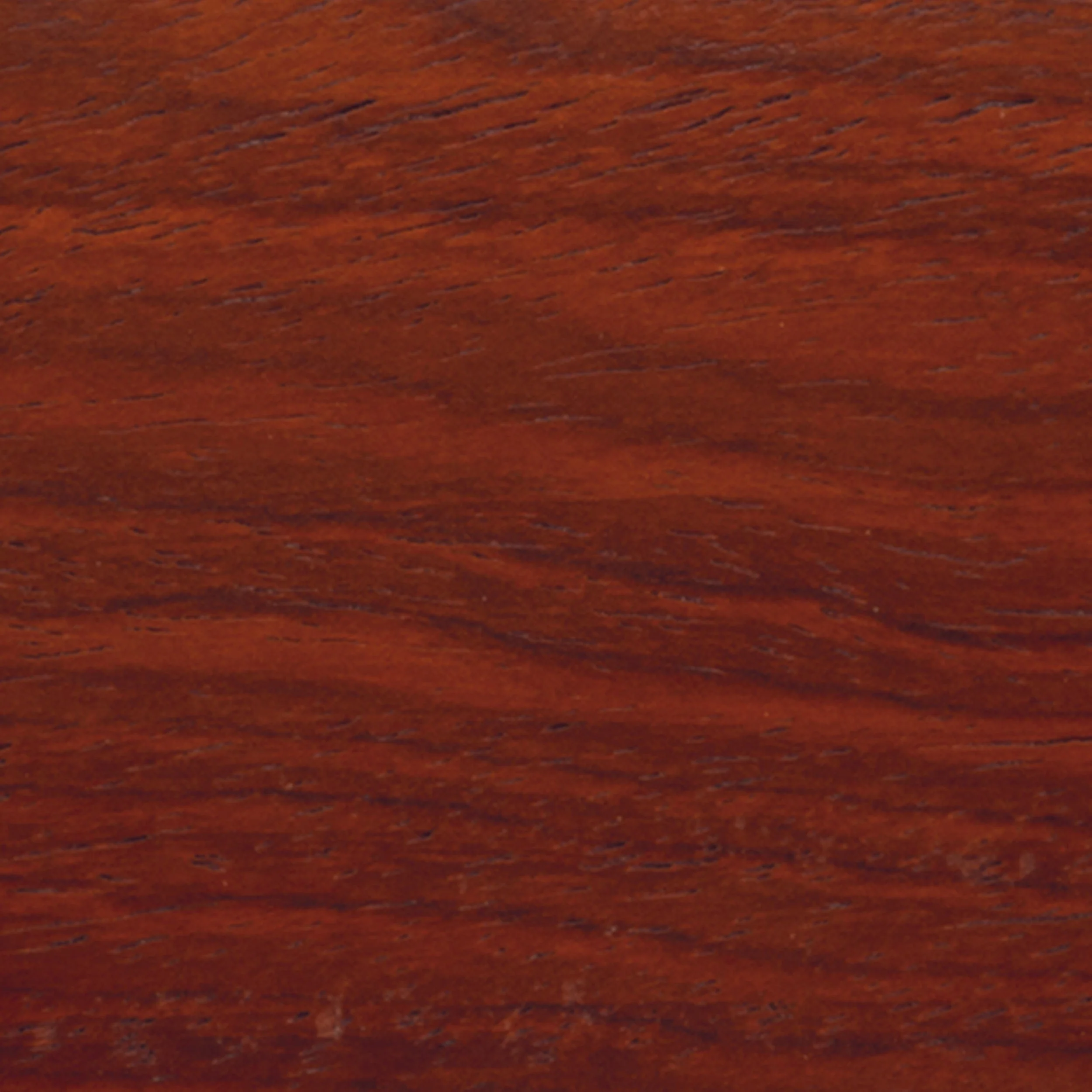 Yucatan Rosewood Wood Turning Stock - Image 1