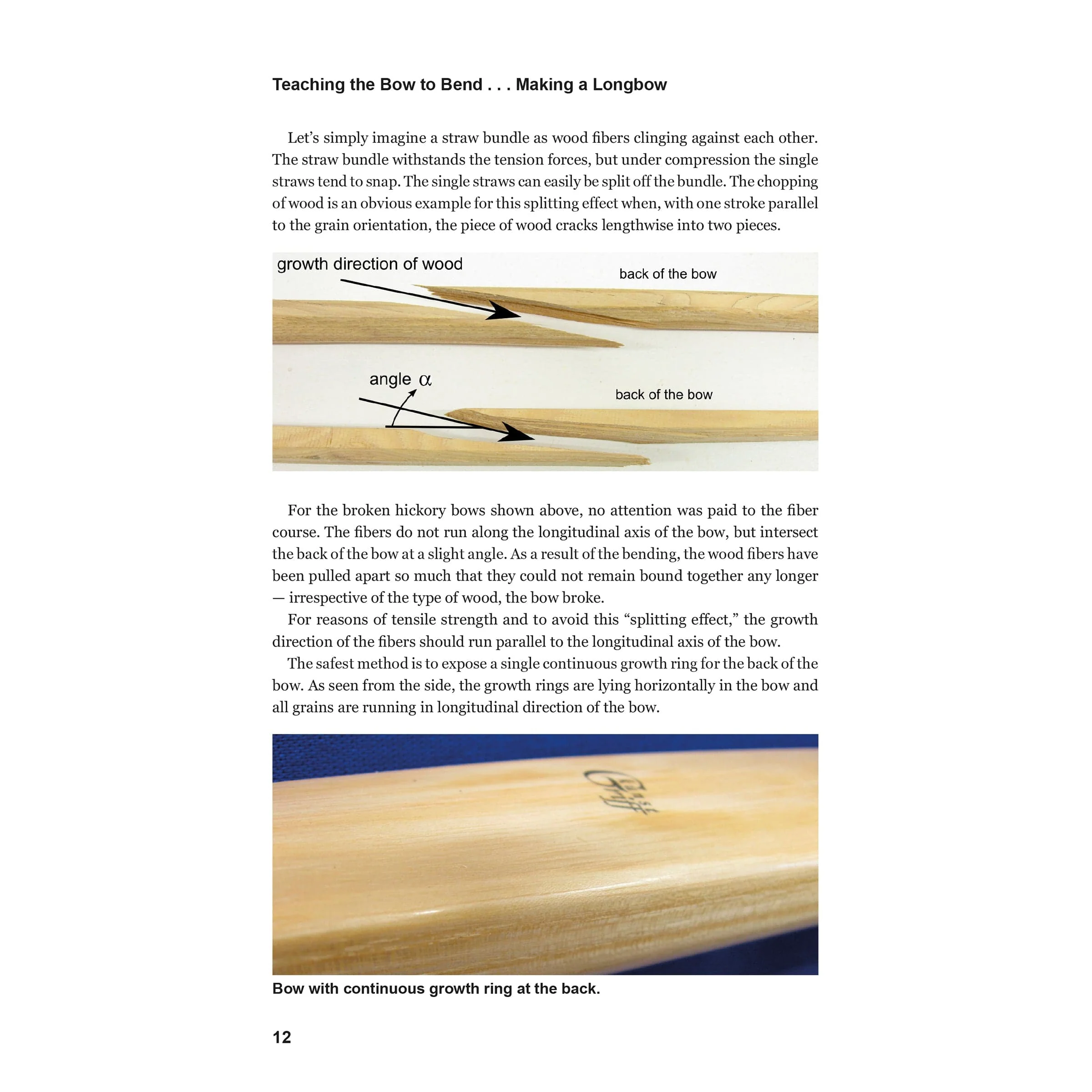Teaching the Bow to Bend - Image 3
