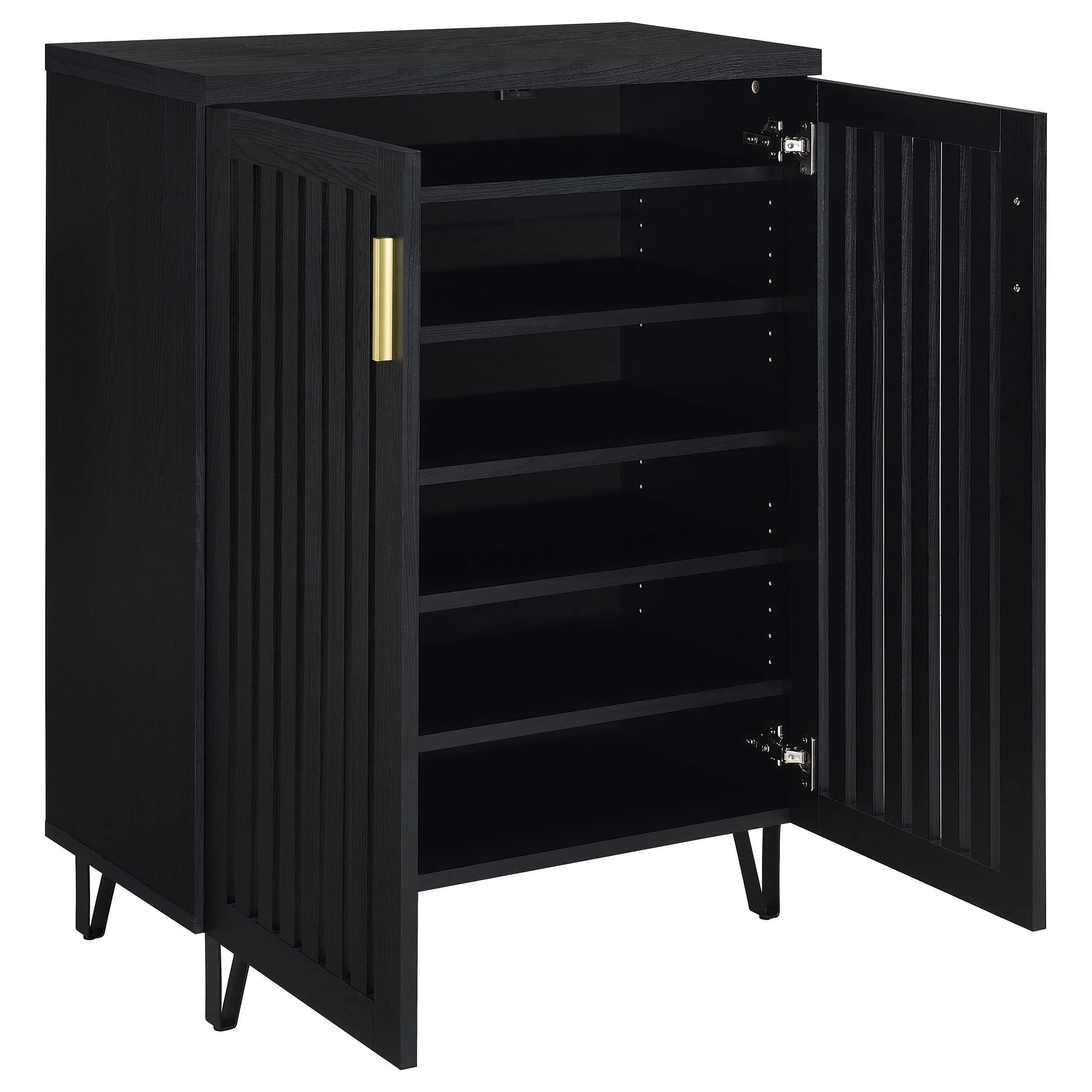 Brixton 2-door Entryway Shoe Storage Cabinets Black - Image 3