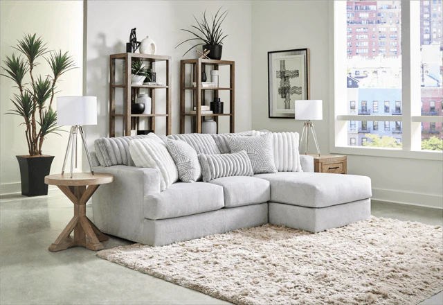 Jackson Light Gray 2-Piece Sectional - Image 1